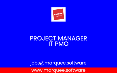 Project Manager – IT PMO
